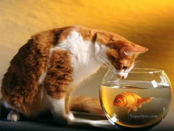 cat and goldfish Oil Paintings